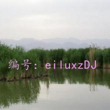 ָ