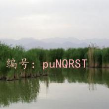 Ŀ
