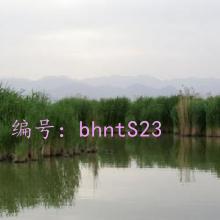 Ŀ